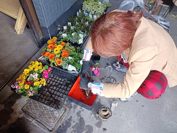 玄関の花を植え替えているところ