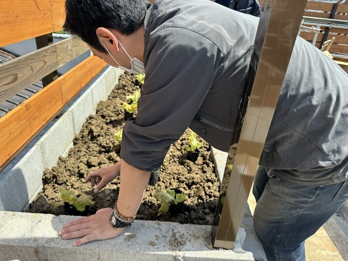 屋上農園の植え付けのようす