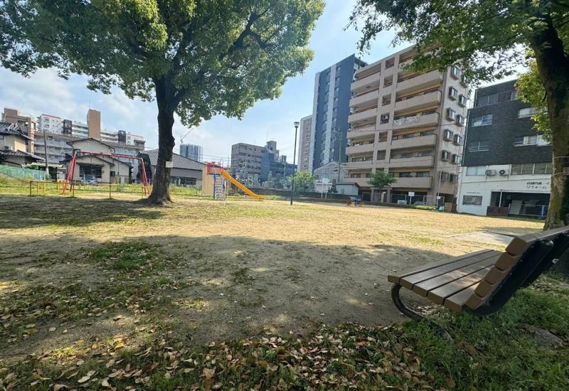 清掃した公園